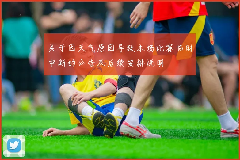 关于因天气原因导致本场比赛临时中断的公告及后续安排说明