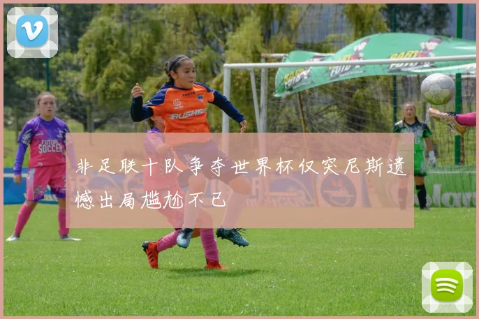 非足联十队争夺世界杯仅突尼斯遗憾出局尴尬不已